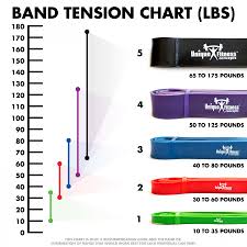 Resistance Bands With Exercise Guide Unique Fitness Concepts Sku Ufc Pullupband Xlt X