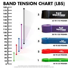 resistance bands with exercise guide unique fitness concepts sku ufc pullupband xlt x