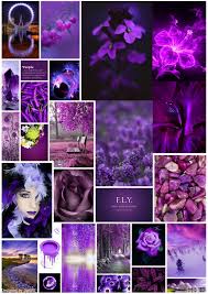 Celebrating My Newborn Board Purplish Sensation Color Collage Beautiful Collage All Things Purple