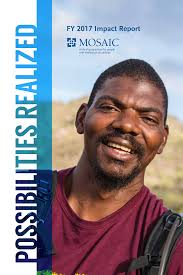 FY 2017 Impact Report