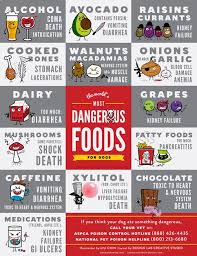 Infographic On Foods Dogs Should Never Eat Dangerous Foods For Dogs Dog Food Recipes Toxic Foods