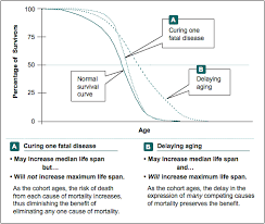 Life Span As A Biomarker