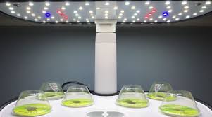 We did not find results for: What Is An Aerogarden Hydroponic Indoor Gardening Explained