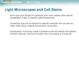 Prokaryotic cells are cells without a nucleus. Lesson Overview 7 1 Life Is Cellular Ppt Download
