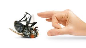 Check spelling or type a new query. Blog Dan Artikel Fumida