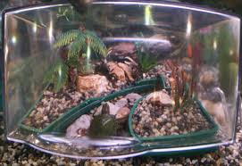 Underwater Island Underwater Habitats For Crabs And Amphibians Best Crab Habitat Around Www Underwaterislands Com Crab Underwater Turtle Terrarium