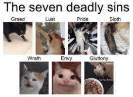 Ollie The Polite Cat Meme