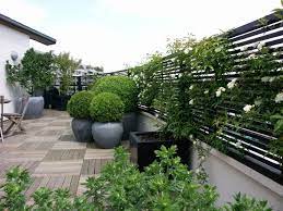 Dreamy Balcony Rooftop Garden Terrace Garden Roof Garden