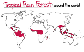 A tropical rainforest climate or equatorial climate is a tropical climate usually found within 10 to 15 degrees latitude of the equator. Tropical Biomes Rainforest Dry Forest Savanna Expii