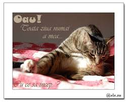 Oare când vine și ziua lor? Ziua Mea 9 Martie Felicitari Ele Ro