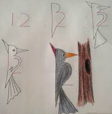 Birds That Start With The Letter T How To Draw Bird With Digit 12 Kinder Zeichnen Zeichnung Mit Zahlen Zeichnen Basteln