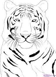 Pin By Gozde Demirel On Cats Kotki Tiger Drawing Animal Outline Tiger Pictures