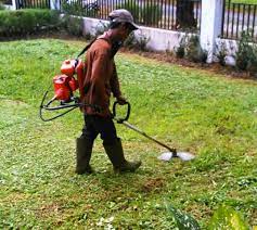 Lahan tanam sebelum dilakukan penanaman harus diolah terlebih dahulu seperti pada. Tips Memilih Dan Merawat Mesin Potong Rumput Agar Awet