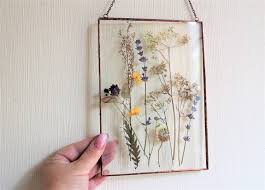 It is handmade dried flowers frame. Framed Pressed Flowers Decor Dry Flower Wall Decor Pressed Lavender Flower Frame Herbarium Wall Hanging Dry Flower Suspend Between Glass