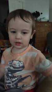 Ash Weaver (@ashweaver)'s videos with Bingo Song