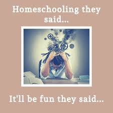 Usually conducted by a parent, tutor, or an online teacher, many. Homeschooling Spruche Tipps Richtig Lernen Mit Humor