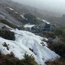 Maybe you would like to learn more about one of these? Salji Di Gunung Kinabalu