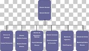 Constructora Lfm Empresa Organizational Chart Service