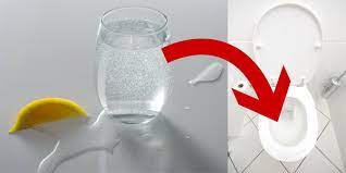 toilette reinigen hausmittel gegen kalk und urinstein haushaltsfee org toiletten reinigen haushaltshilfe reinigungstipps