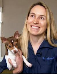 Animal Care Foundation Blog