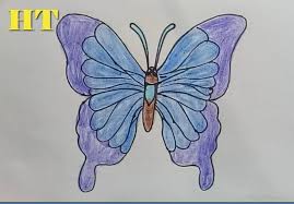 We did not find results for: How To Draw A Cartoon Butterfly Easy