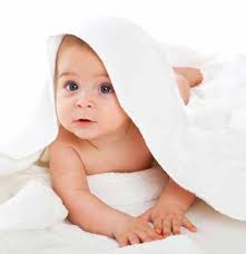 Money-saving coupons Maricopa couple opens 6th MetroPCS Jim Shoaf serves up  food, hope