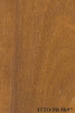 Image result for Khaya grandifoliola