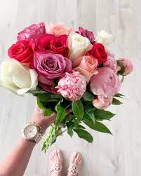 Several places were found that match your search criteria. Leslie Brophy On Instagram Happy Sunday Friends I Was Thrilled To Find So Many Pretty Flowers Yesterday Tomorrow Is The Big Day Stores Will Be Open Hair