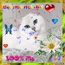 Https Encrypted Tbn0 Gstatic Com Images Q Tbn And9gcriu N9xzyhwizxq9 G3ygk J0dwvdjzsvoa Usqp Cau Buonanotte nuove immagini gratis per facebook e whatsapp precedente 4 successiva nuove consultare picmix buona notte di proprietà ghighi67 circa picmix. 2