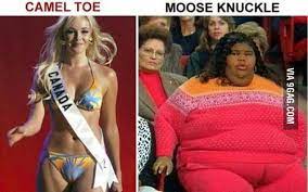 I think that second one is not a moose knuckle. Camel Toe Vs Moose Knuckle 9gag