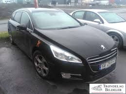 Image result for Brun Guaranja 2014 Peugeot