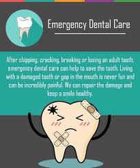 Wellington Emergency Dentist Emergency Dentistry Gumucio Dental Dental Emergency Emergency Dental Care Emergency Dentist