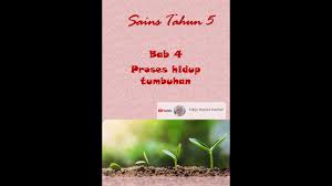 Selamat pagi semua para pecinta kucing sedunia. Sains Tahun 5 Bab Proses Hidup Tumbuhan Part 1 Youtube