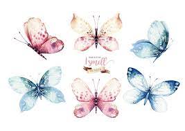 Watercolor Butterfly Clipart Watercolor Butterfly Individual Png Files Hand Painted Vibrant Bohemian Clipart Butterfly Watercolor Butterfly Clip Art Butterfly Illustration