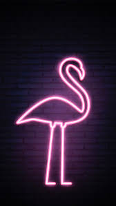 Pink Wallpaper Flamingo And Neon Image 6119393 On Favim Com 1224 x 1530 jpeg 171 кб.