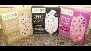 You may have heard that greek yogurt has a big. Yasso Frozen Greek Yogurt Coffee Chocolate Chip Cookies N Cream Black Raspberry Chip Review Youtube