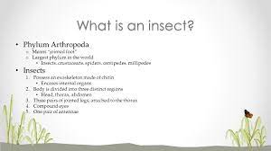 Pest analysis also takes into consideration social factors, which are related to the cultural and demographic trends of society. Insect Pests Economic Importance Of Insect Pests Can Cause Direct Damage To Crops Can Be Vectors Of Plant Pathogens Ppt Download