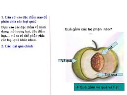 Check spelling or type a new query. Ppt TrÆ°á»ng Thcs Sá»' 2 Tan Má»¹ Powerpoint Presentation Free Download Id 4207161