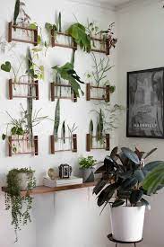 Our Favorite Plant Displaying Ideas Of All Time Apartment Therapy Plant Display Ideas Indoor Plant Wall Plant Wall