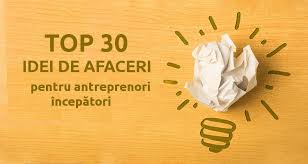 Asadar, esti antreprenor de succes daca: Top 30 Idei De Afaceri Pentru Antreprenori IncepÄƒtori Antreprenor De Romania