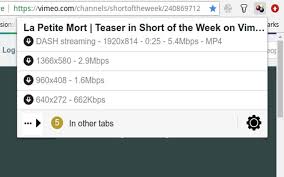 Video Downloadhelper