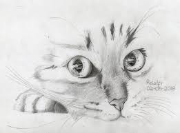 Así, podrás hacerte una mejor idea del resultado que quieres obtener. Como Dibujar Pelaje Animal Realismo Paso A Paso Steemit