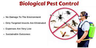 On the other end, chemical pest control is credited for fueling the green revolution, which made it possible for agriculture to sustain the world. Benefits You Can Reap From Biological Pest Control Wekipedia Blog