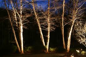 Preferred Properties Landscaping Masonry Night Lighting Demonstration Low Voltage Lighting Landscape Lighting