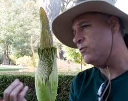 In Costa Mesa, the smell of death is in the air