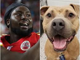 Maybe you would like to learn more about one of these? Super Bowl Chiefs Derrick Nnadi Paid 100 Dog Adoption Fees After Win
