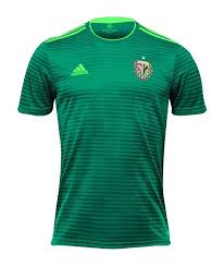 ˈɕlɔ̃sk ˈvrɔt͡swaf) is a polish football club based in wrocław that plays in ekstraklasa, the highest level of the polish football league system. Slask Wroclaw 2018 19 Heimtrikot