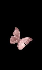 Search free wallpapers, ringtones and notifications on zedge and personalize your phone to suit you. Fidan Firan Fidanfiran79 Profile Pinterest