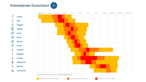 Andere pollen fliegen bis zu 300 km weit. Pollenflug Deutschland Pollenbelastung Aktuell Wetteronline