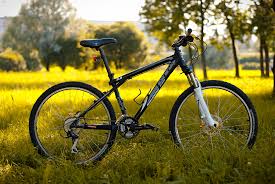 images?q=tbn:ANd9GcQsAB40GfduNAO2TpnngblsgNDpq9vSXJKpDEl1udA0jVJmVKgg